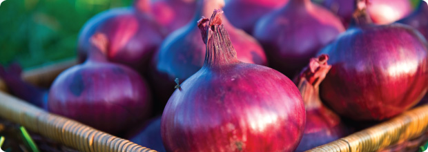 Basket of red onions