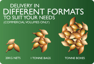 Delivery in different formats to suit your needs